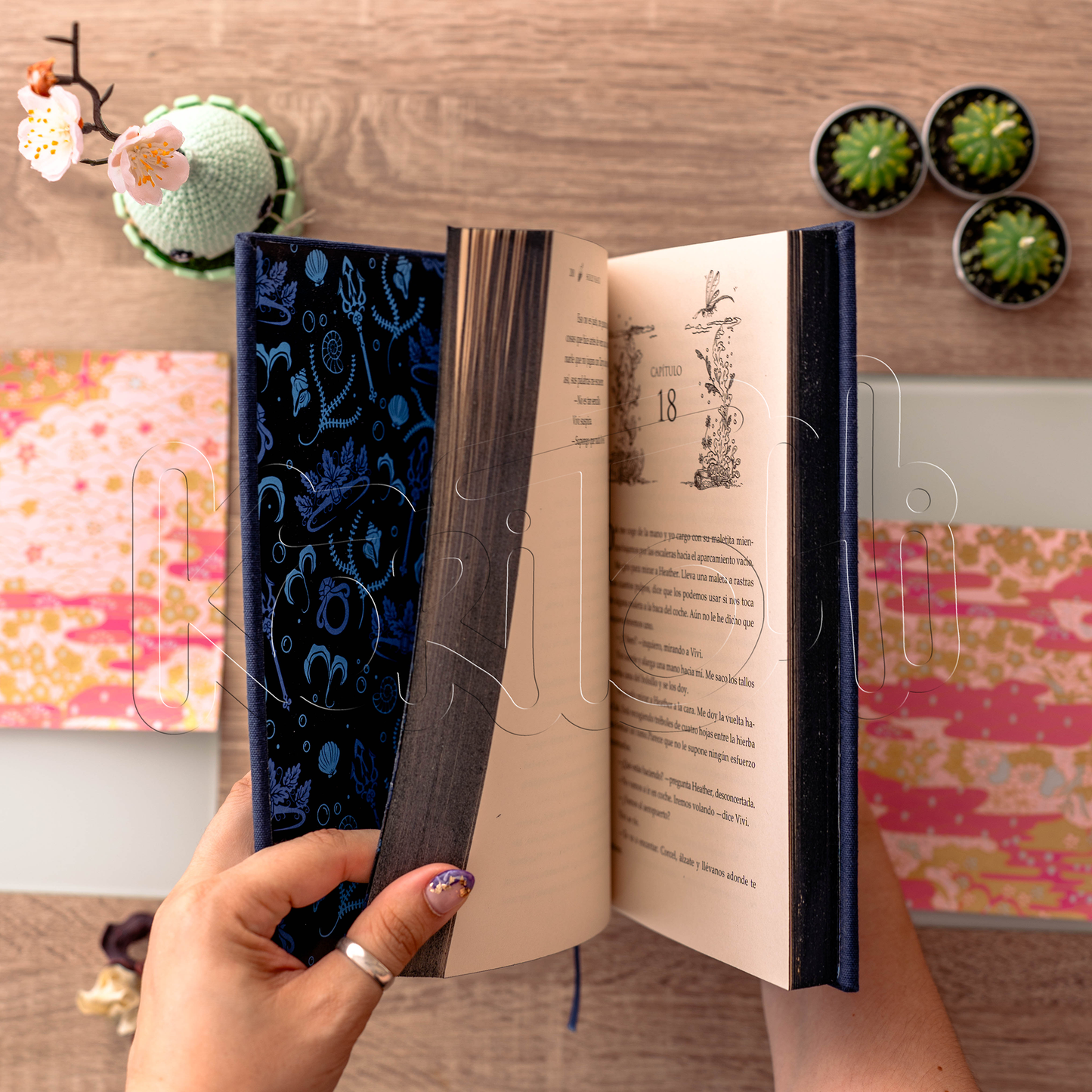 Captive Prince special edition - 3 in 1 - Spanish