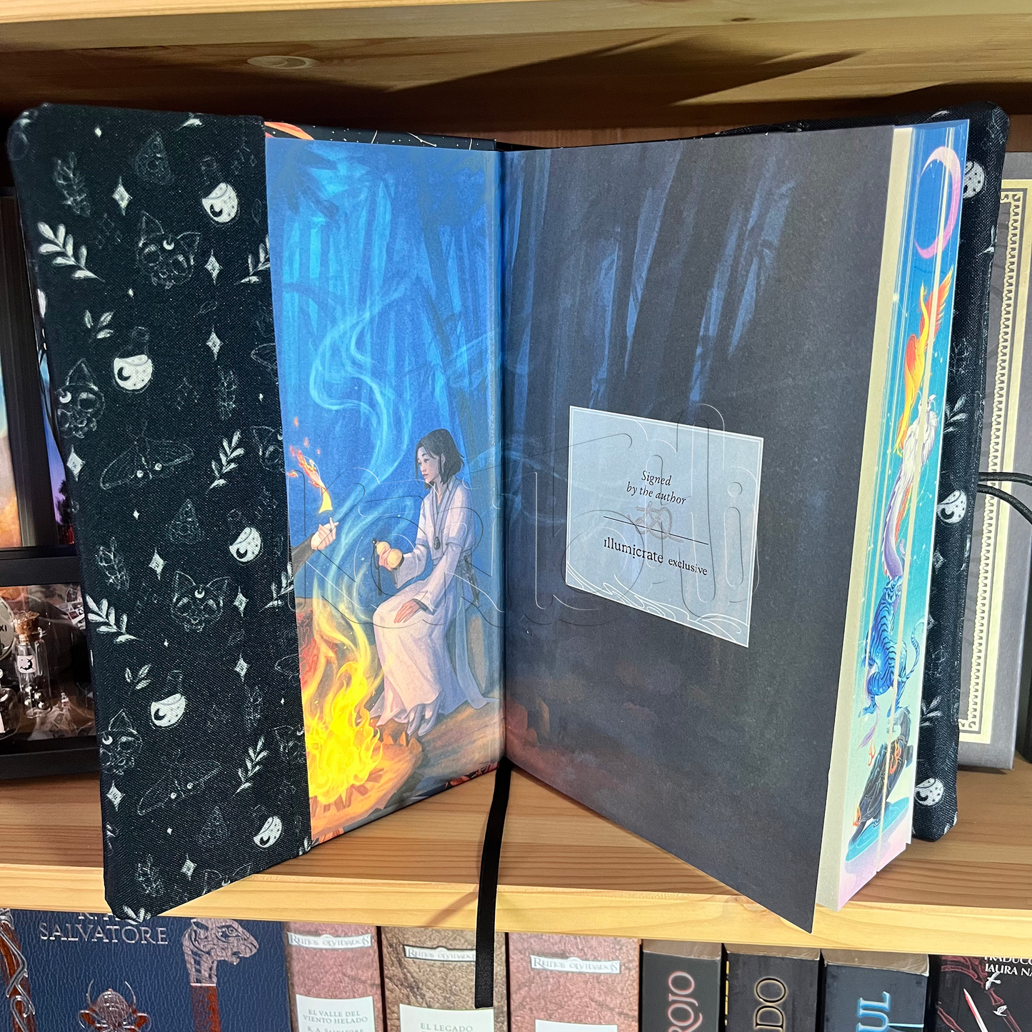 Gato calavera - Witch- Funda de libro con solapas